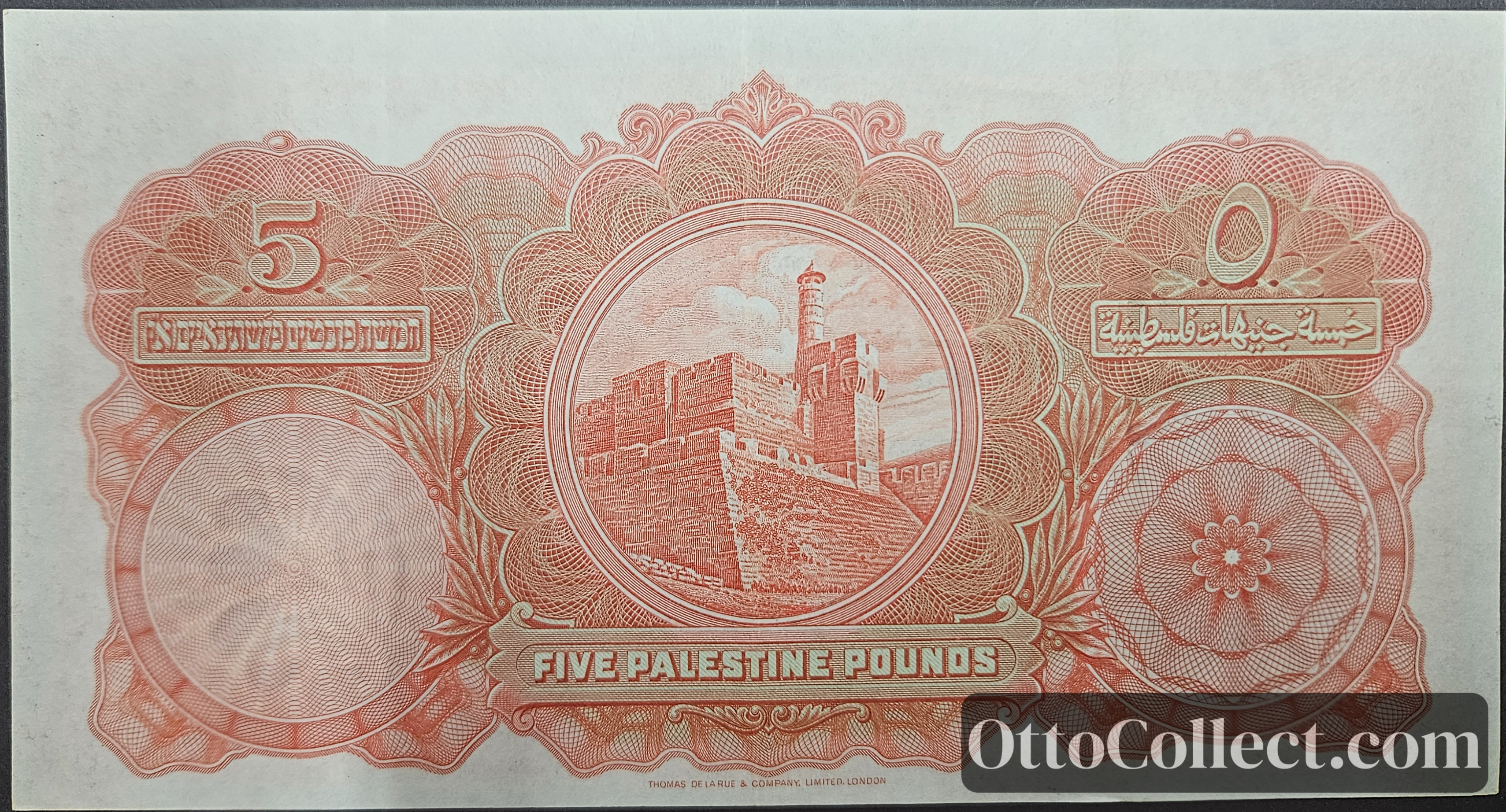 5 pounds Palestine banknote back side from 1927 - Pick 8a